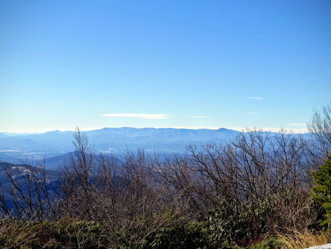 Picture 38 of Florence Nature Preserve Hike 013016