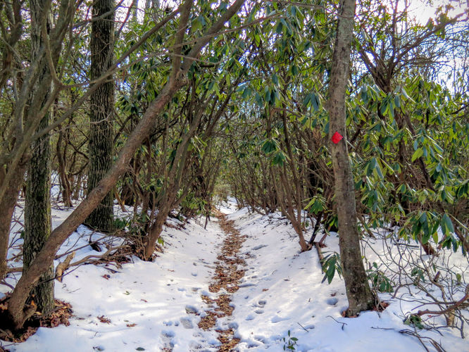 Picture 55 of Florence Nature Preserve Hike 013016