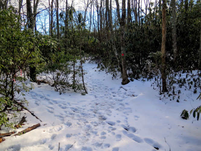Picture 56 of Florence Nature Preserve Hike 013016