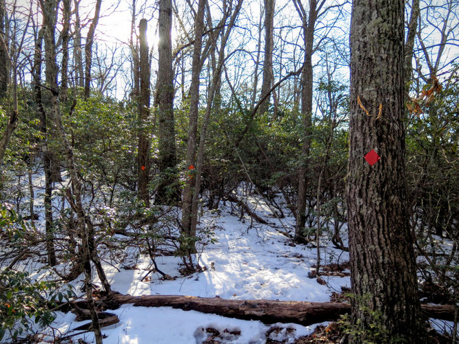 Picture 57 of Florence Nature Preserve Hike 013016