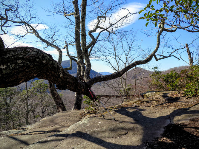 Picture 59 of Florence Nature Preserve Hike 013016