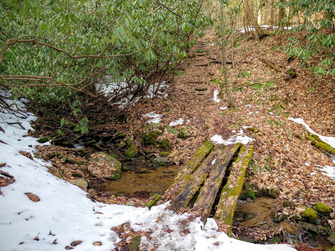 Picture 63 of Florence Nature Preserve Hike 013016