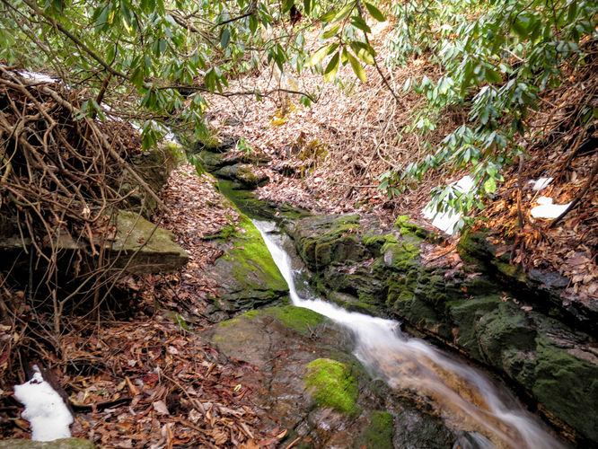Picture 68 of Florence Nature Preserve Hike 013016
