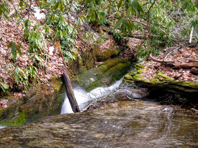 Picture 73 of Florence Nature Preserve Hike 013016