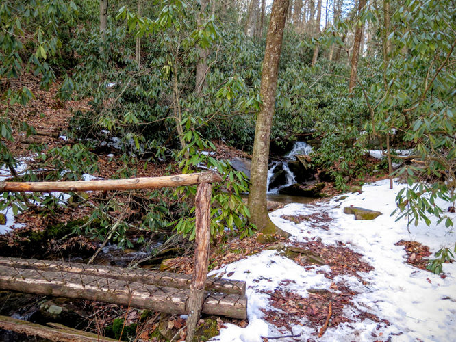 Picture 75 of Florence Nature Preserve Hike 013016