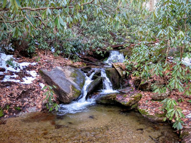 Picture 76 of Florence Nature Preserve Hike 013016