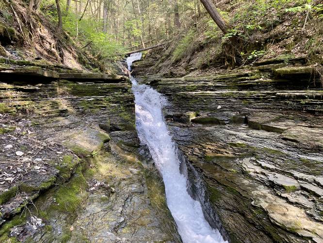 Flume Gulley Falls (multi-tiered)