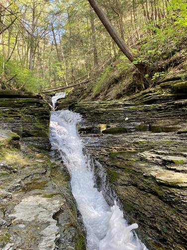 Flume Gulley Falls (multi-tiered)