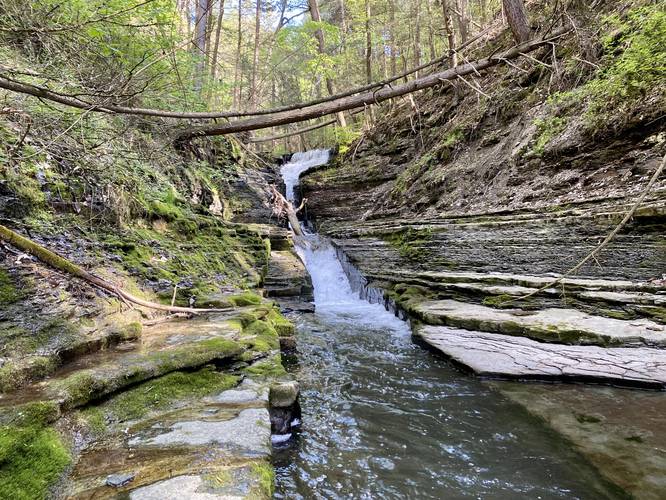 Flume Gulley Falls (multi-tiered)