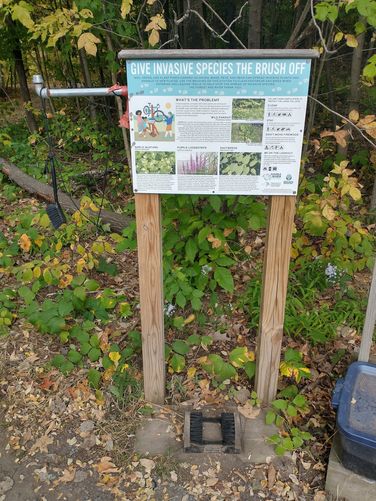 Brush your feet to stop the spread of invasives