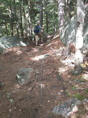 Trail substrate 
