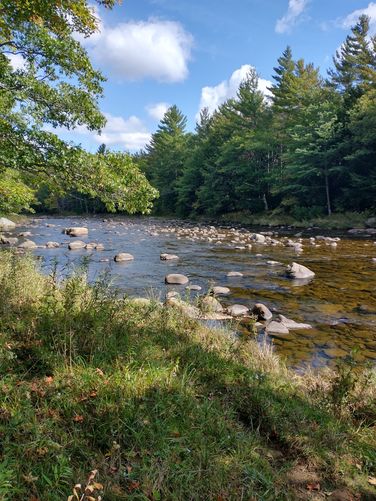Views of the Ausable River 