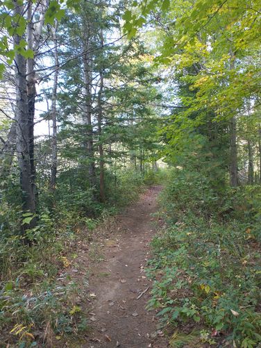 The River Loop trail veers away from the river to a marsh