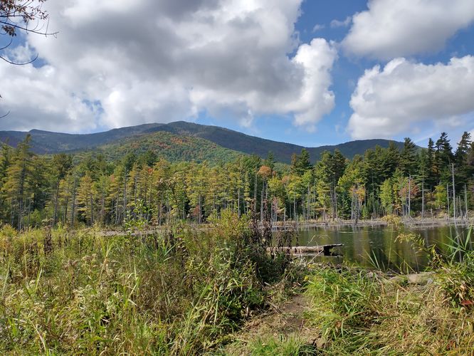 View of The Flume Knob from below at the marsh.