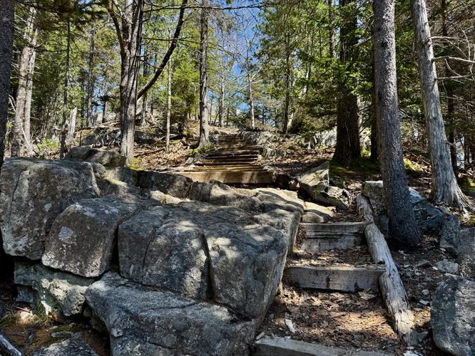 Hiking through the pine forest on Flying Mountain