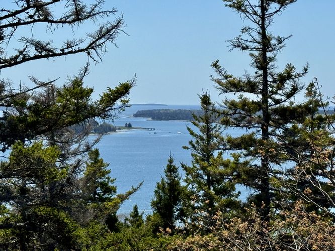 View of Somes Sound from Flying Mountain