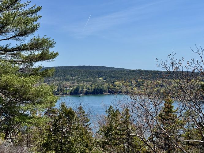 View of The Narrows (channel)