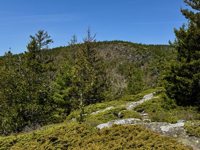 View of Valley Peak