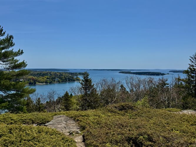 View of Somes Sound