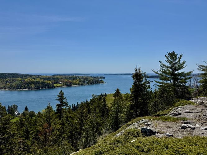 View of Somes Sound