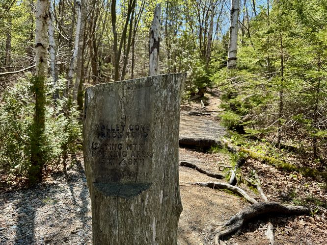 Valley Cove Trail (truck road)