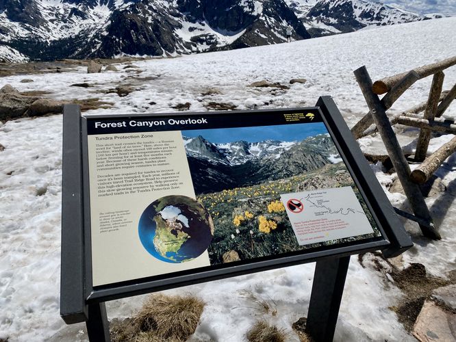 Forest Canyon Overlook info