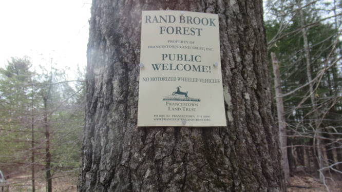 Welcome to Rand Brook Forest