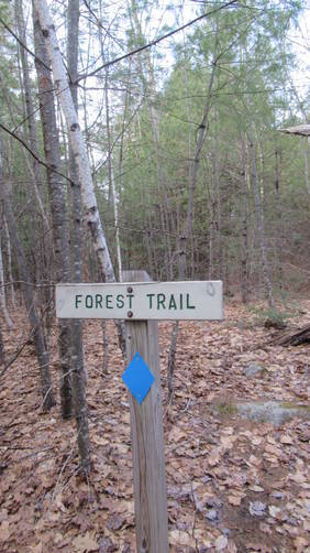 Forest Trail sign is marked by Blue diamon blazes