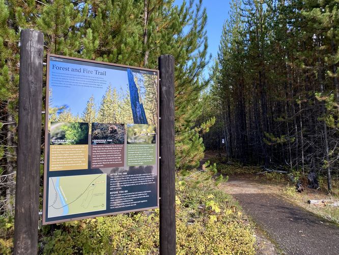 Forest and Fire Trail trailhead