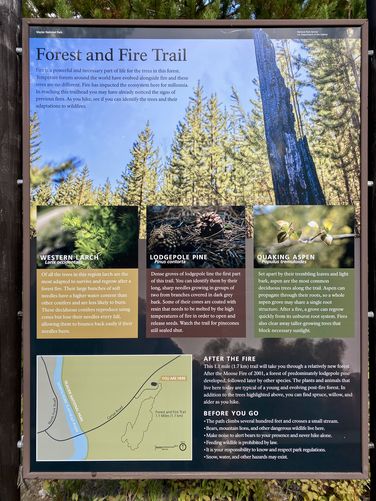 Trail info
