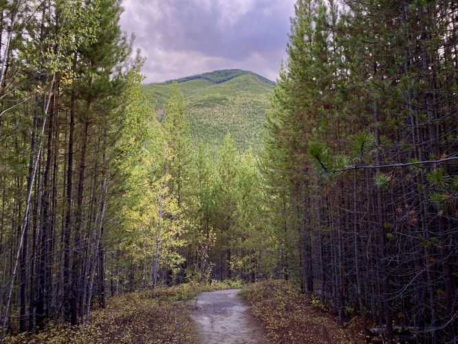 Huckleberry Mountain stands over the trail