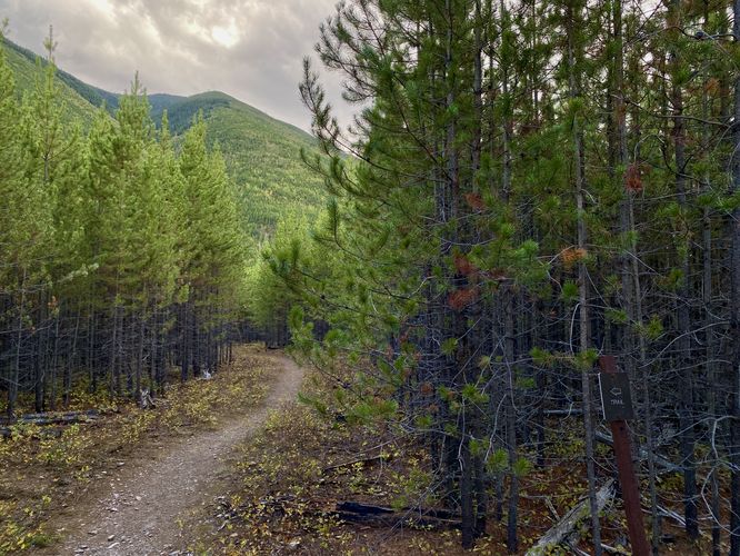 Huckleberry Mountain hangs over the trail
