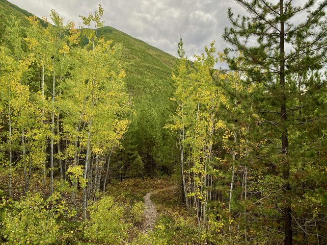 Default image for Forest and Fire Trail, a 0.9-mile trail in West Glacier, MT (US)
