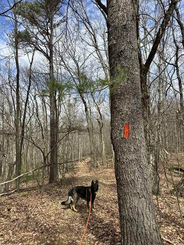 Fork hill loop  album