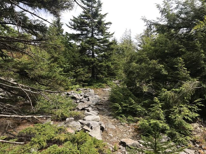 Default image for Forks of Cranberry Hike, a 12.6-mile trail in Woodrow, WV (US)
