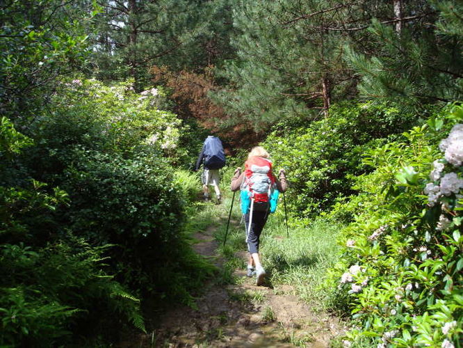 Picture 15 of Forks of Red Creek Hike 070409