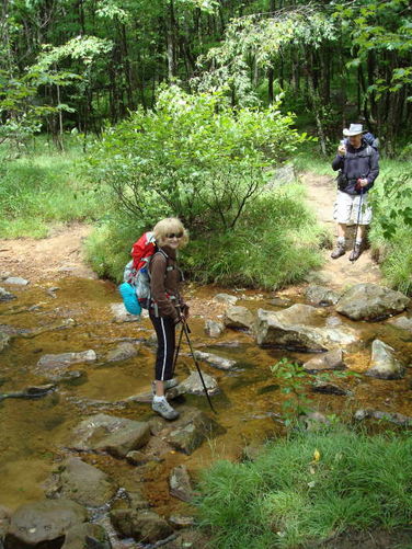 Picture 20 of Forks of Red Creek Hike 070409