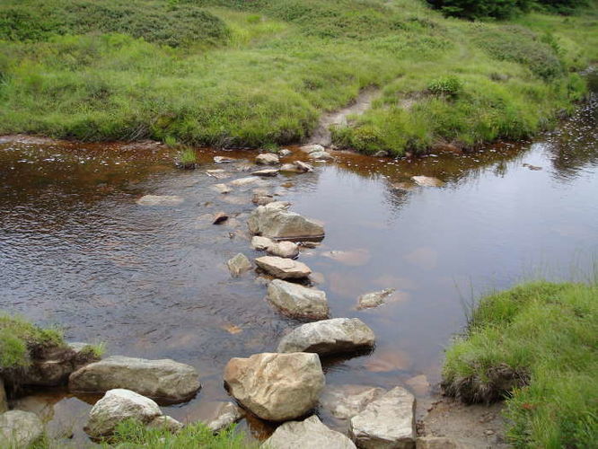 Picture 27 of Forks of Red Creek Hike 070409
