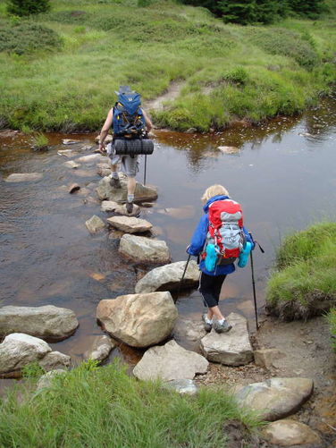 Picture 28 of Forks of Red Creek Hike 070409