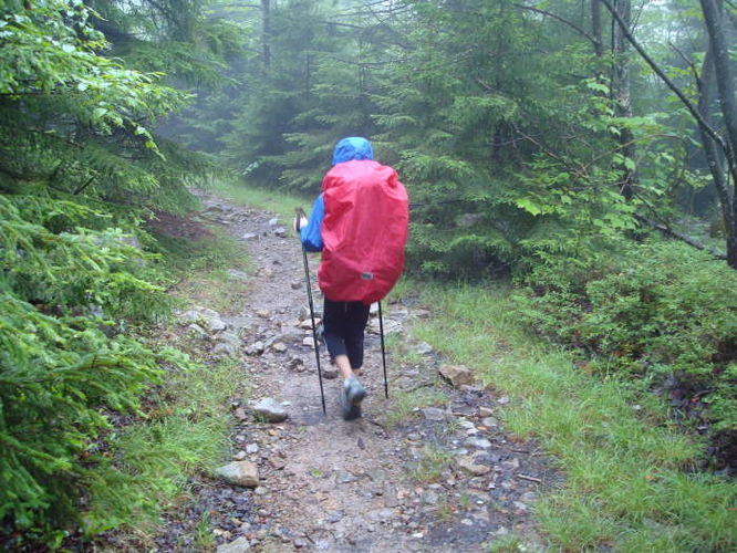 Picture 31 of Forks of Red Creek Hike 070409