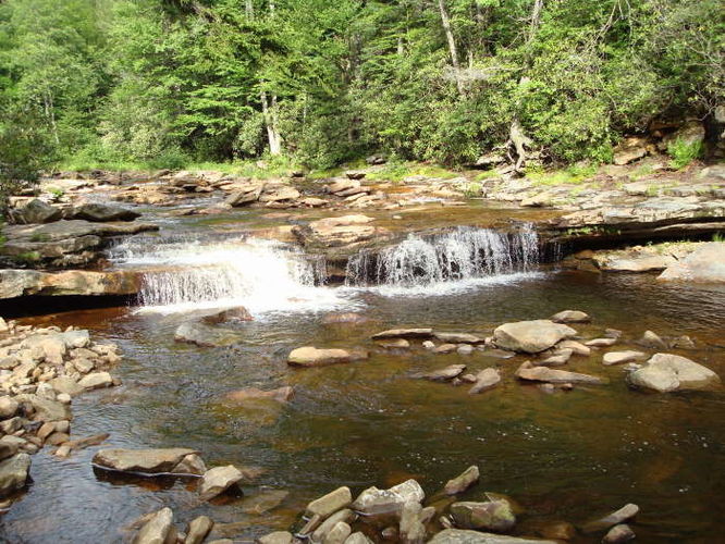 Picture 33 of Forks of Red Creek Hike 070409