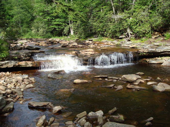 Picture 34 of Forks of Red Creek Hike 070409