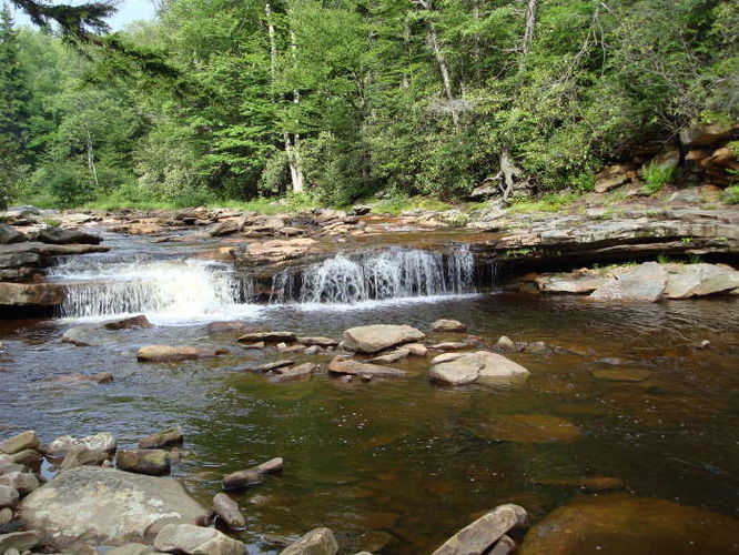 Picture 36 of Forks of Red Creek Hike 070409