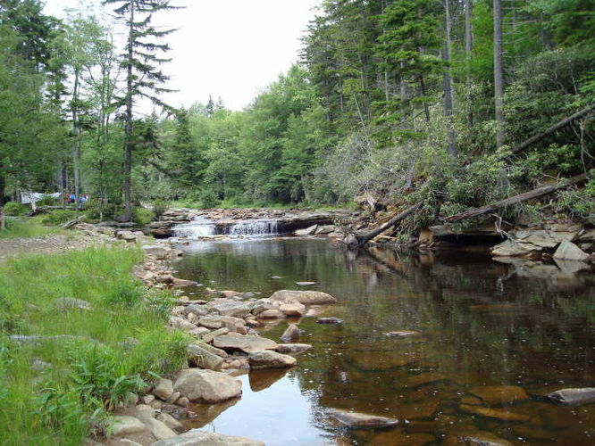 Picture 37 of Forks of Red Creek Hike 070409