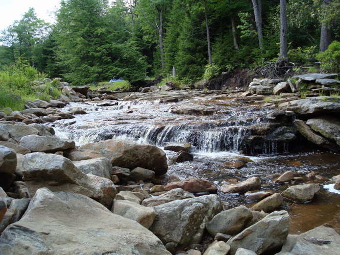 Picture 38 of Forks of Red Creek Hike 070409