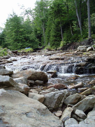 Picture 39 of Forks of Red Creek Hike 070409