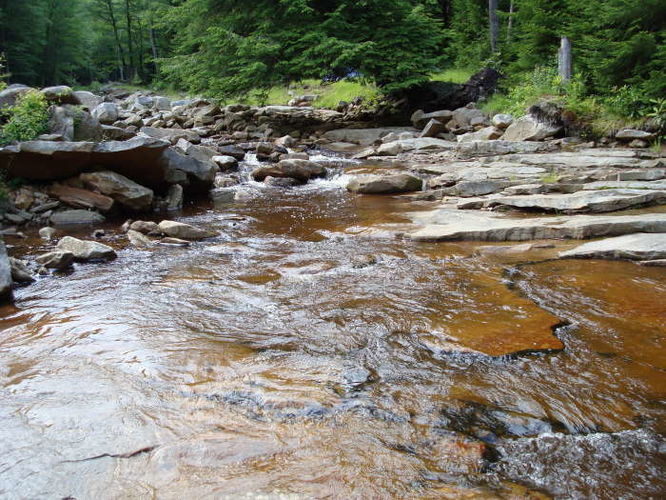 Picture 40 of Forks of Red Creek Hike 070409