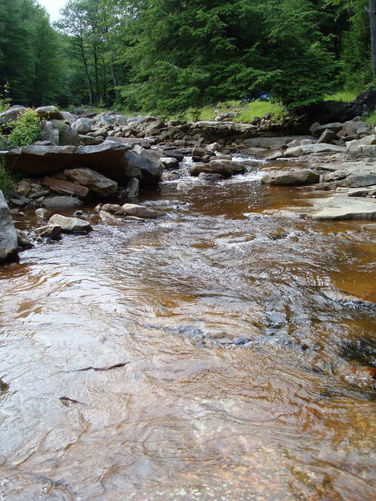 Picture 41 of Forks of Red Creek Hike 070409