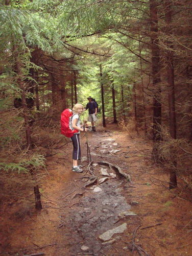 Picture 44 of Forks of Red Creek Hike 070409