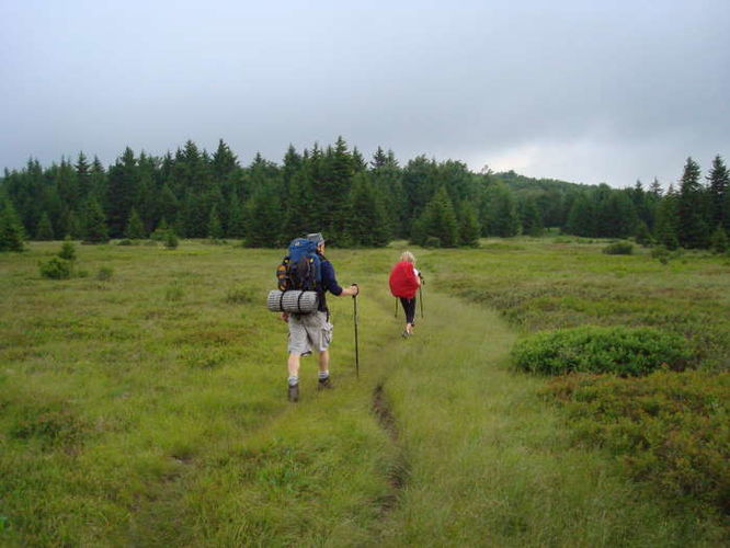 Picture 45 of Forks of Red Creek Hike 070409